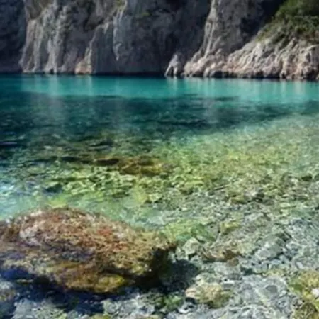 Sweet Cassis